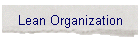 Lean Organization