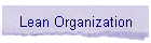 Lean Organization